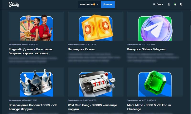 Специальные предложения